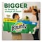 Bounty Select-a-Size Perforated Roll Paper Towels, 2 Ply, 123 Sheets, 113 ft, White 80373824 - alternate 10